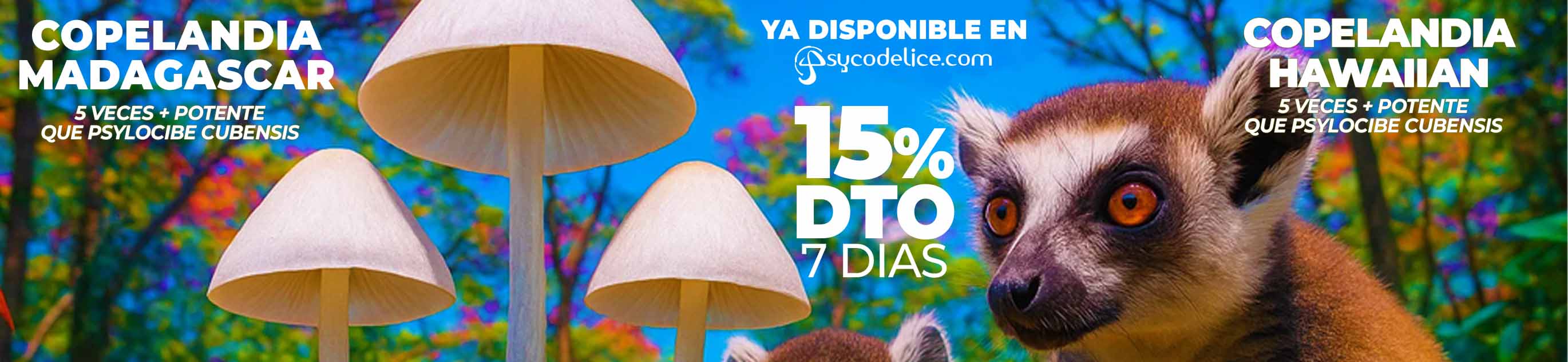 Trufas mágicas comprar online